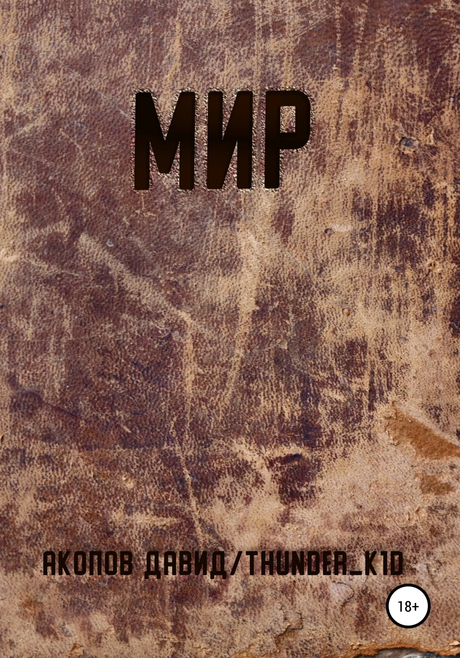 Обложка Мир