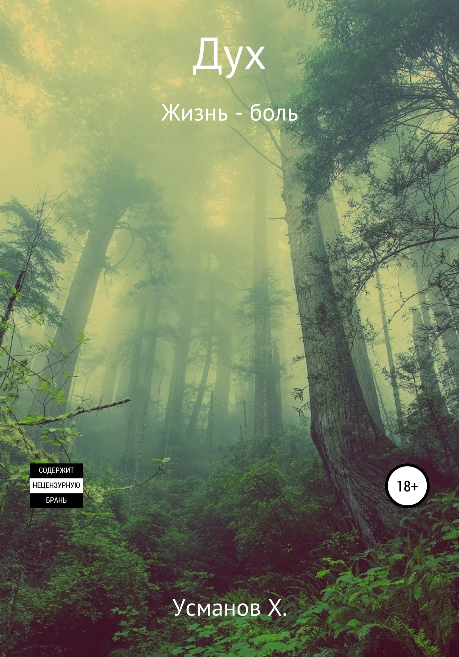 Обложка Жизнь – боль