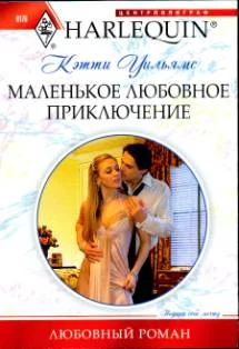 Обложка Маленькое любовное приключение