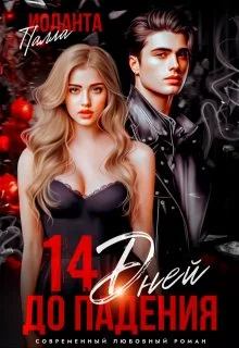 Обложка 14 дней до падения