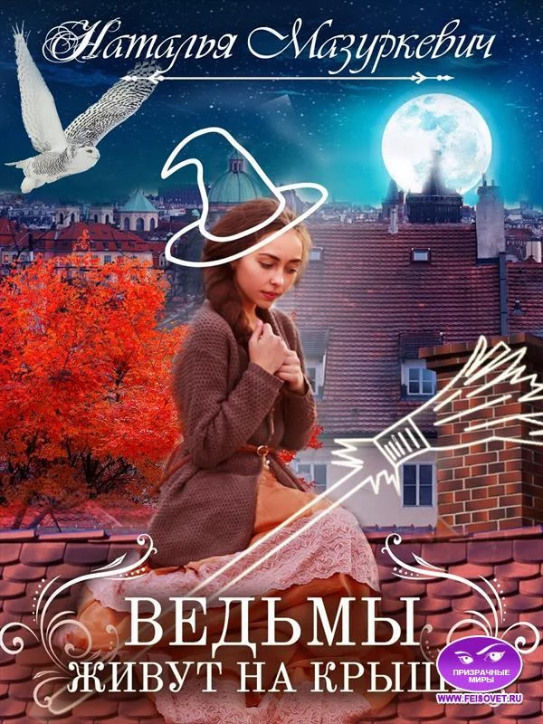 Обложка Ведьмы живут на крыше