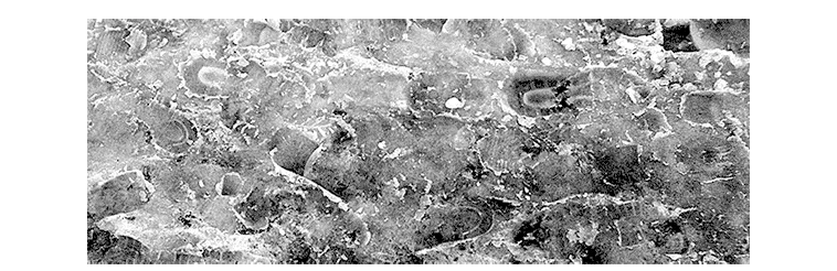 Обложка Вторая симфония Малера