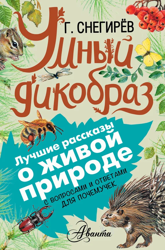 Обложка Умный дикобраз