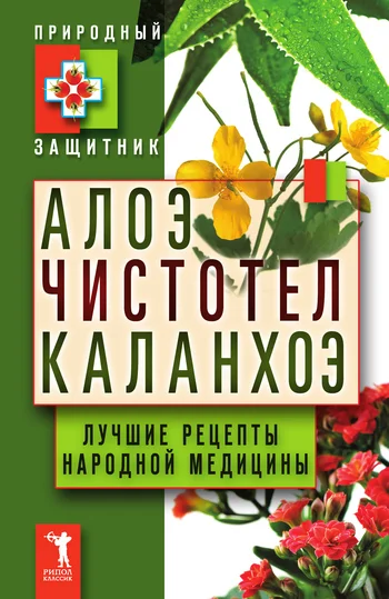 Обложка Алоэ, чистотел, каланхоэ. Лучшие рецепты народной медицины