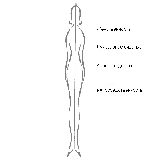 Обложка Очарование женственности