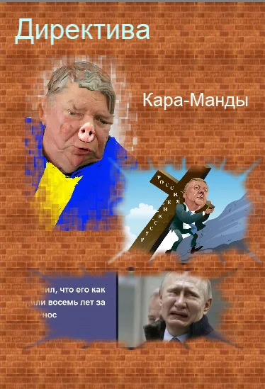 Обложка Директива кара-манды