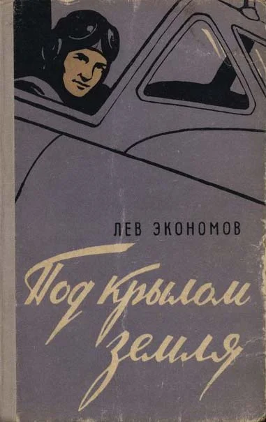 Обложка Под крылом земля