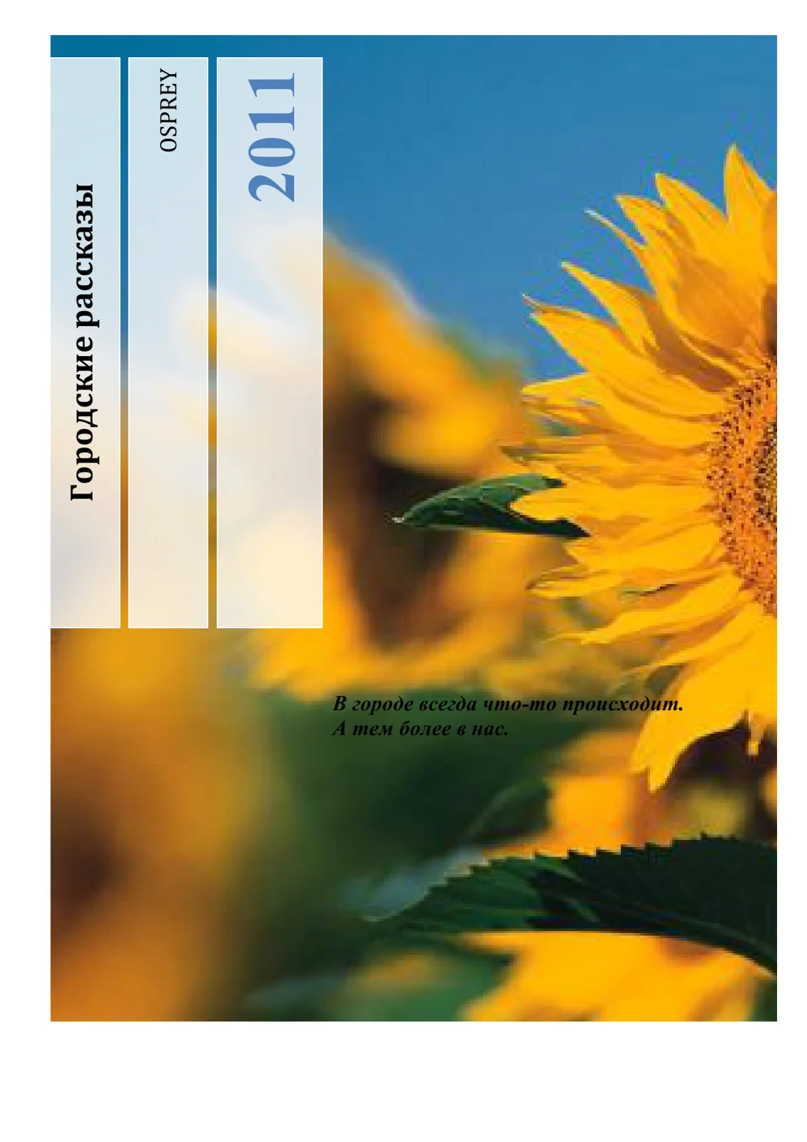 Обложка Городские рассказы