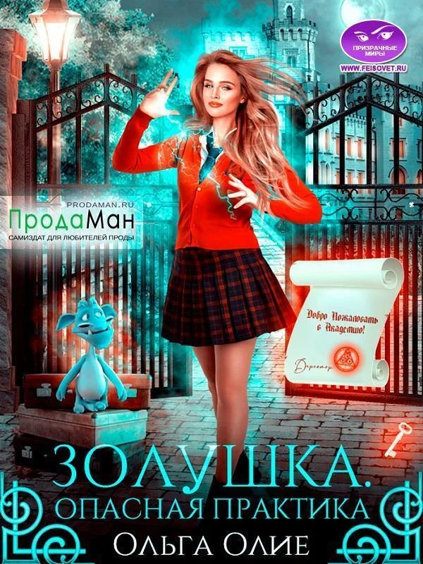 Обложка Опасная практика
