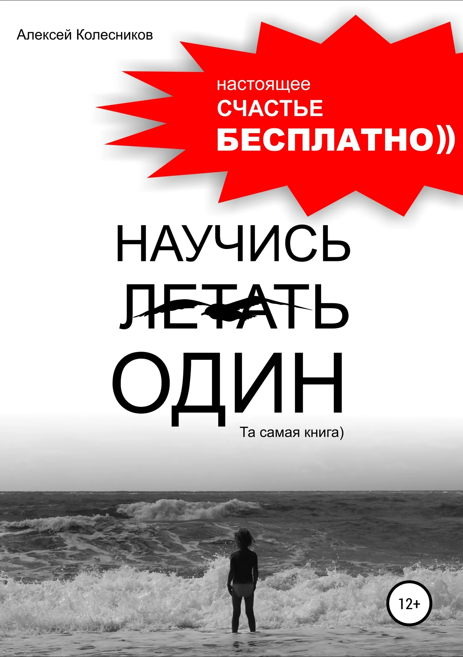 Обложка Научись летать один. Та самая книга)