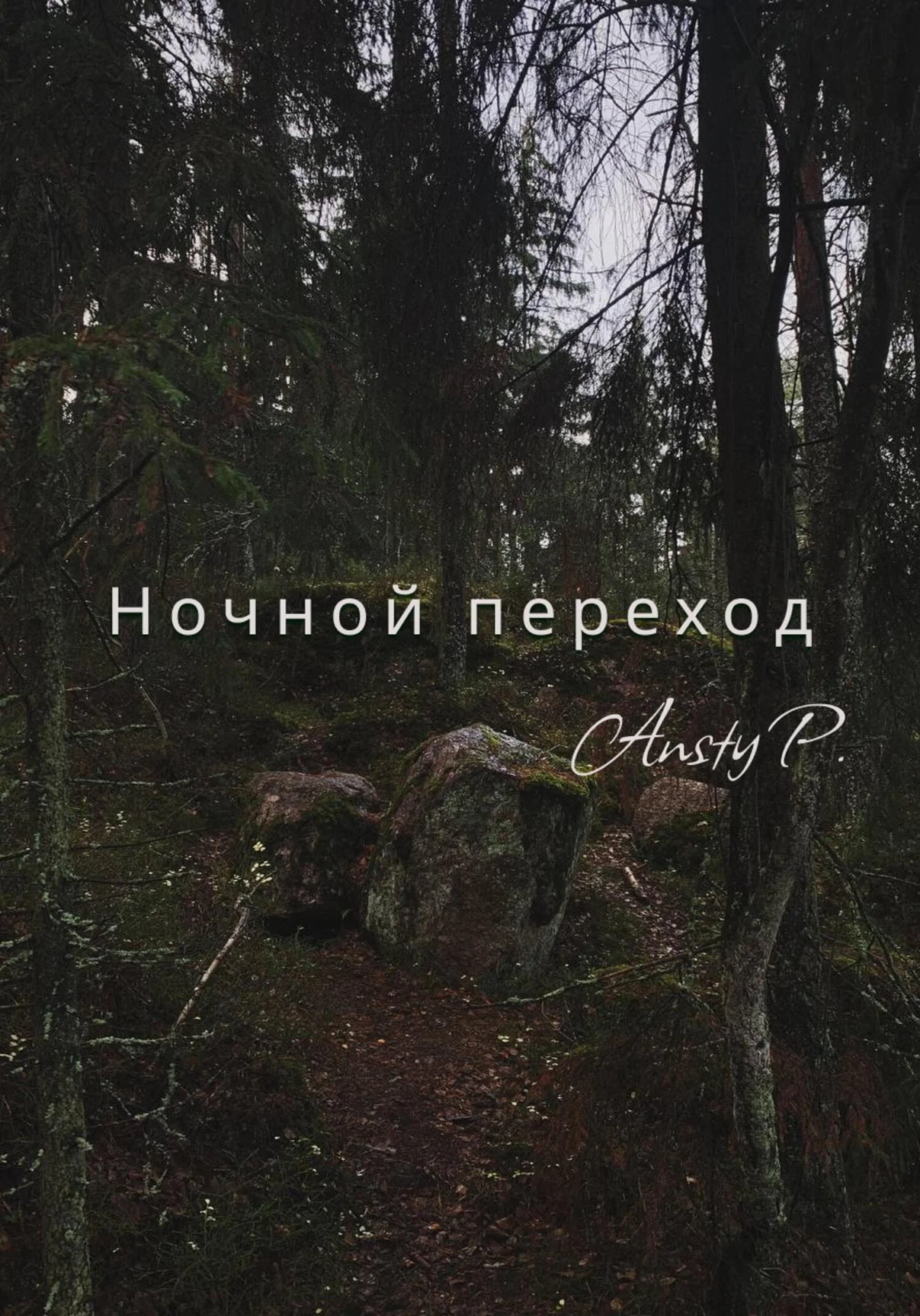 Обложка Ночной переход