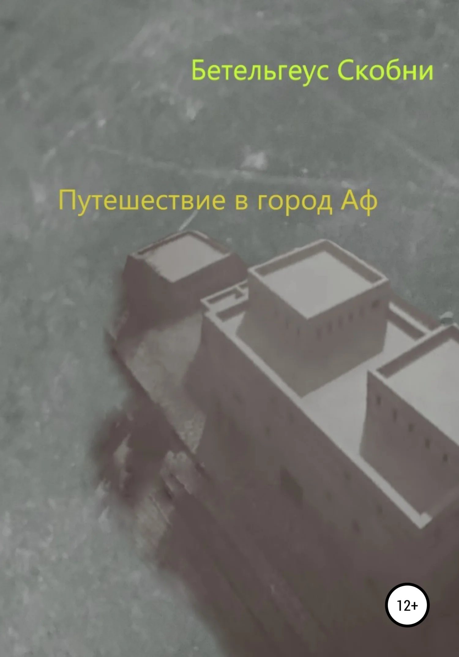 Обложка Путешествие в город Аф