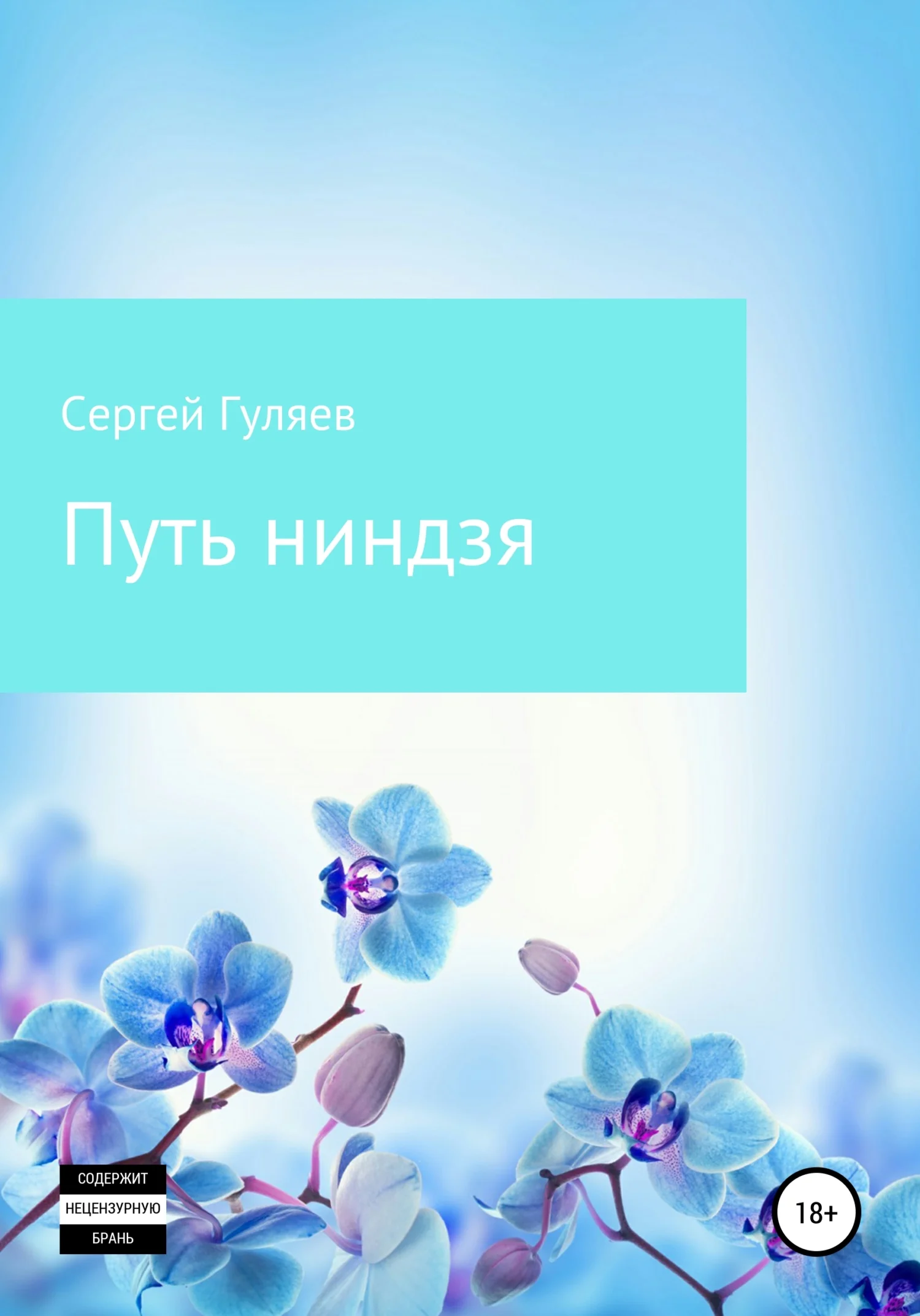 Обложка Путь ниндзя