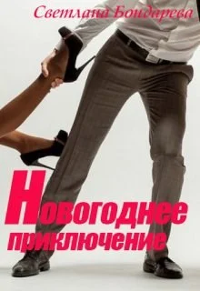 Обложка Новогоднее приключение