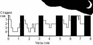 Обложка Анти-МакРоберт: Думай! по-русски. Как тренироваться по циклам