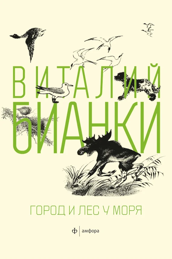 Обложка Город и лес у моря