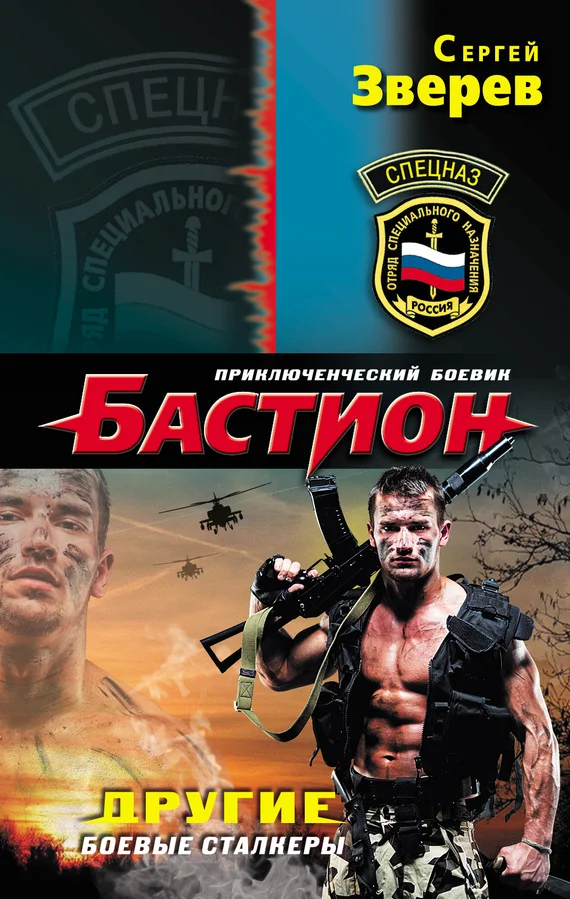 Обложка Другие. Боевые сталкеры