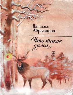 Обложка Что такое зима