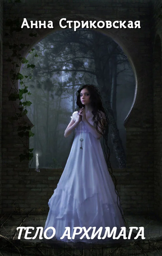 Обложка Тело архимага