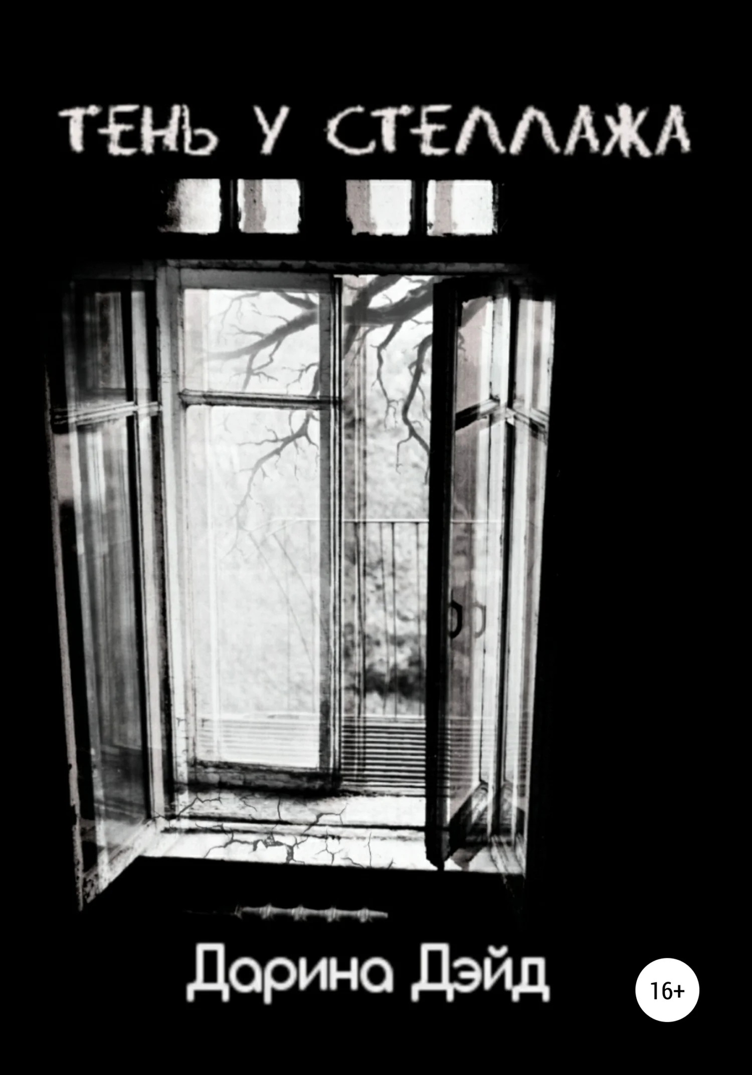 Обложка Тень у стеллажа