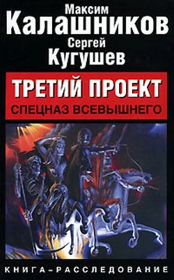 Обложка Третий проект. Том III. Спецназ Всевышнего