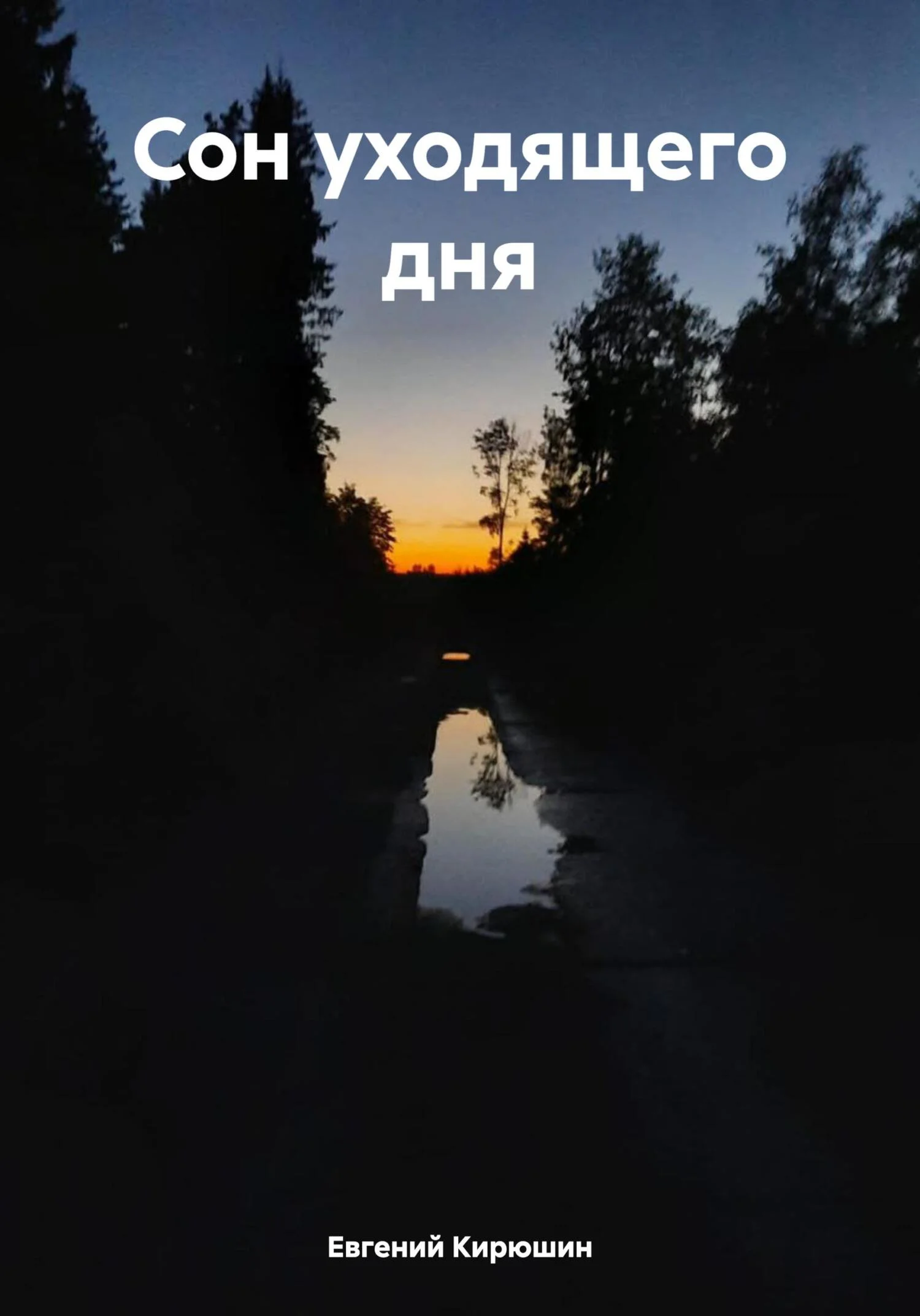 Обложка Сон уходящего дня