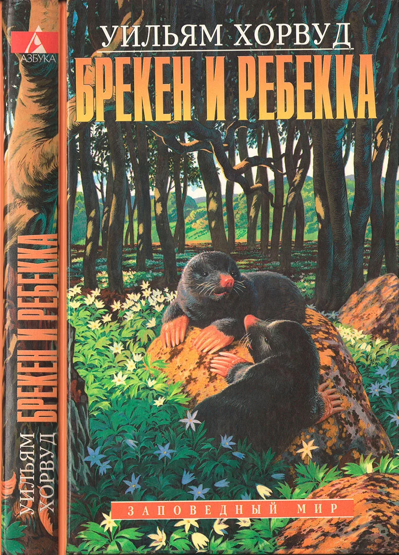 Обложка Брекен и Ребекка