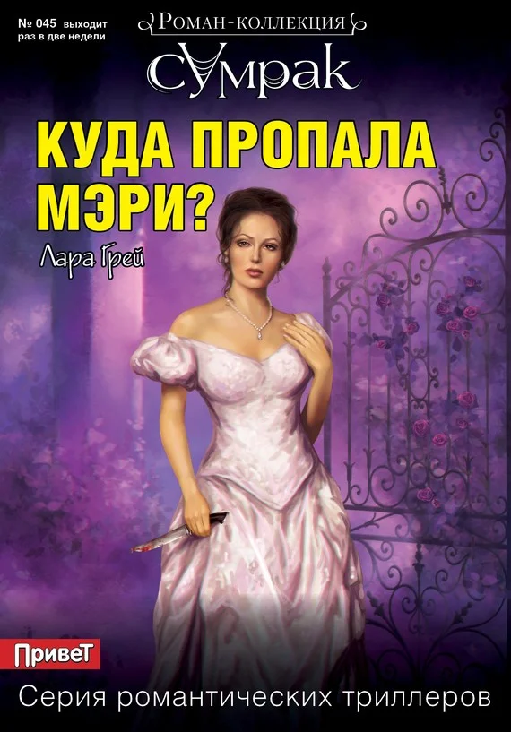Обложка Куда пропала Мэри?