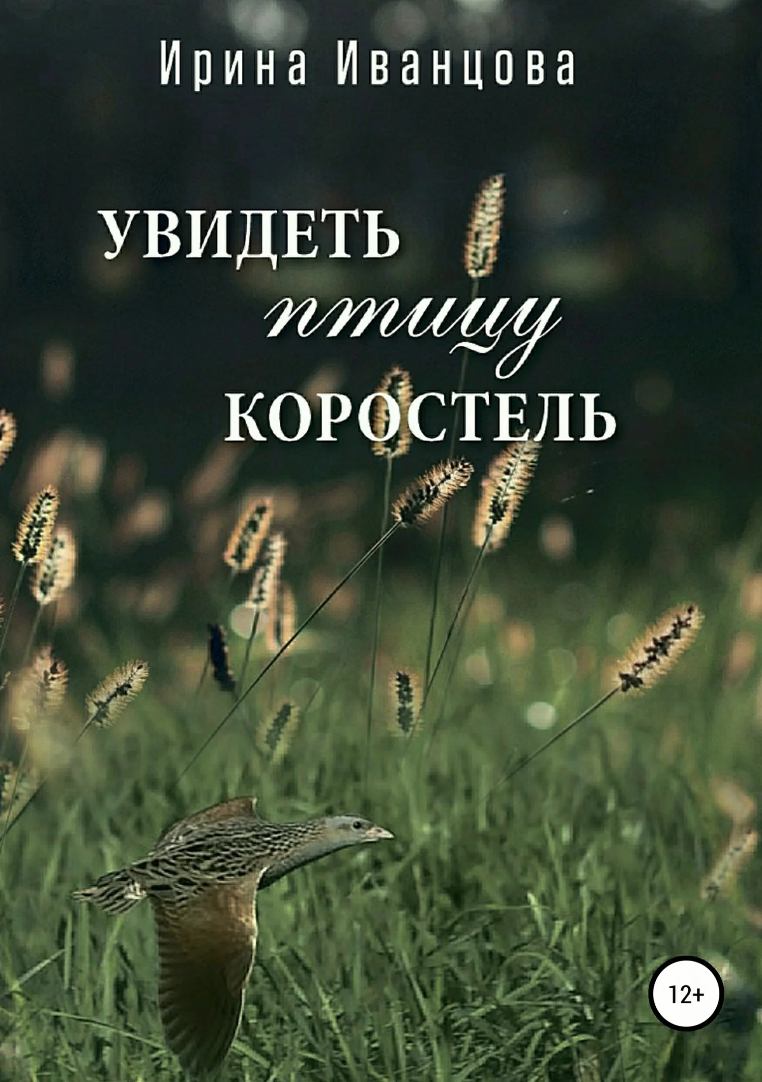 Обложка Увидеть птицу коростель