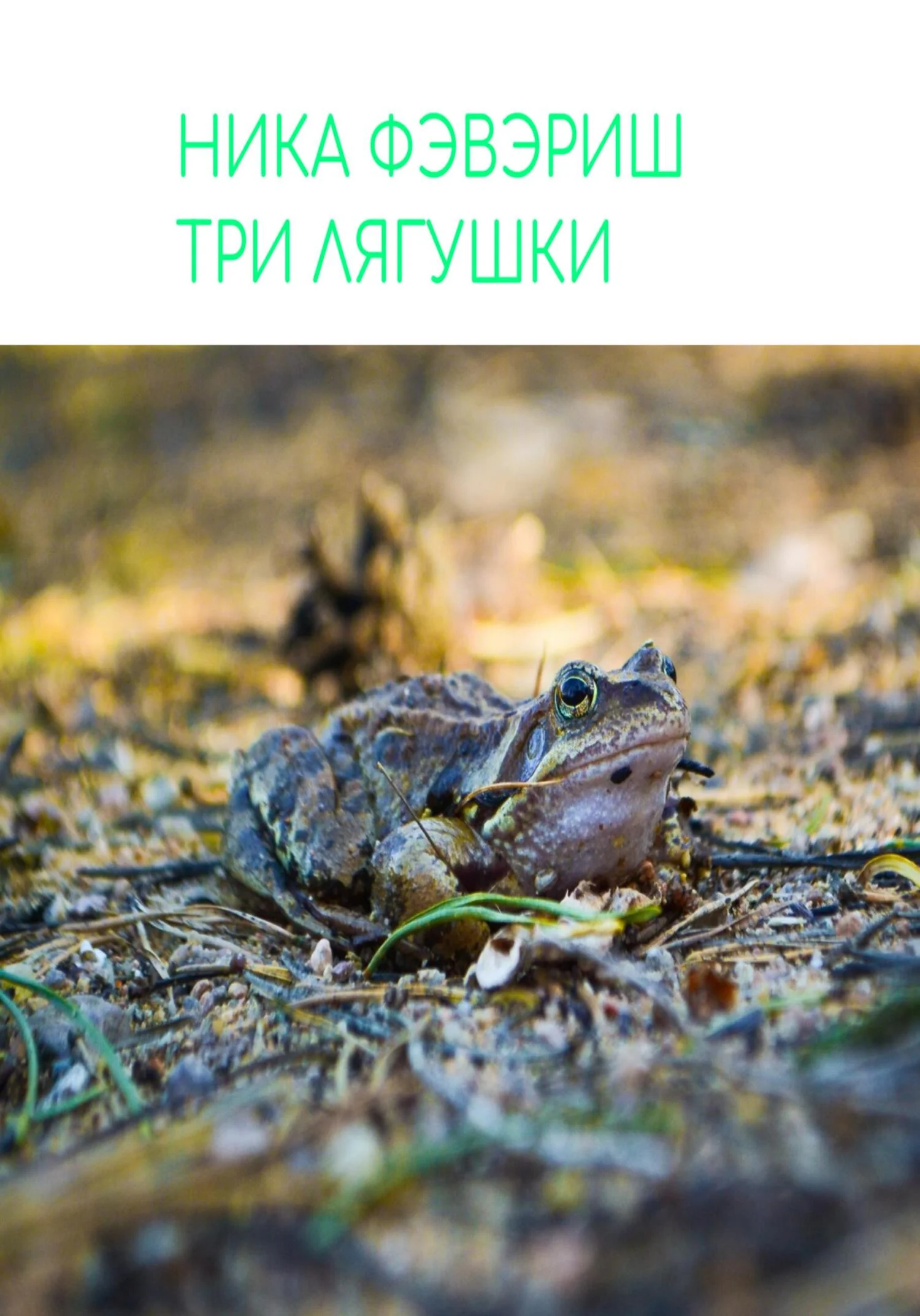 Обложка Три лягушки