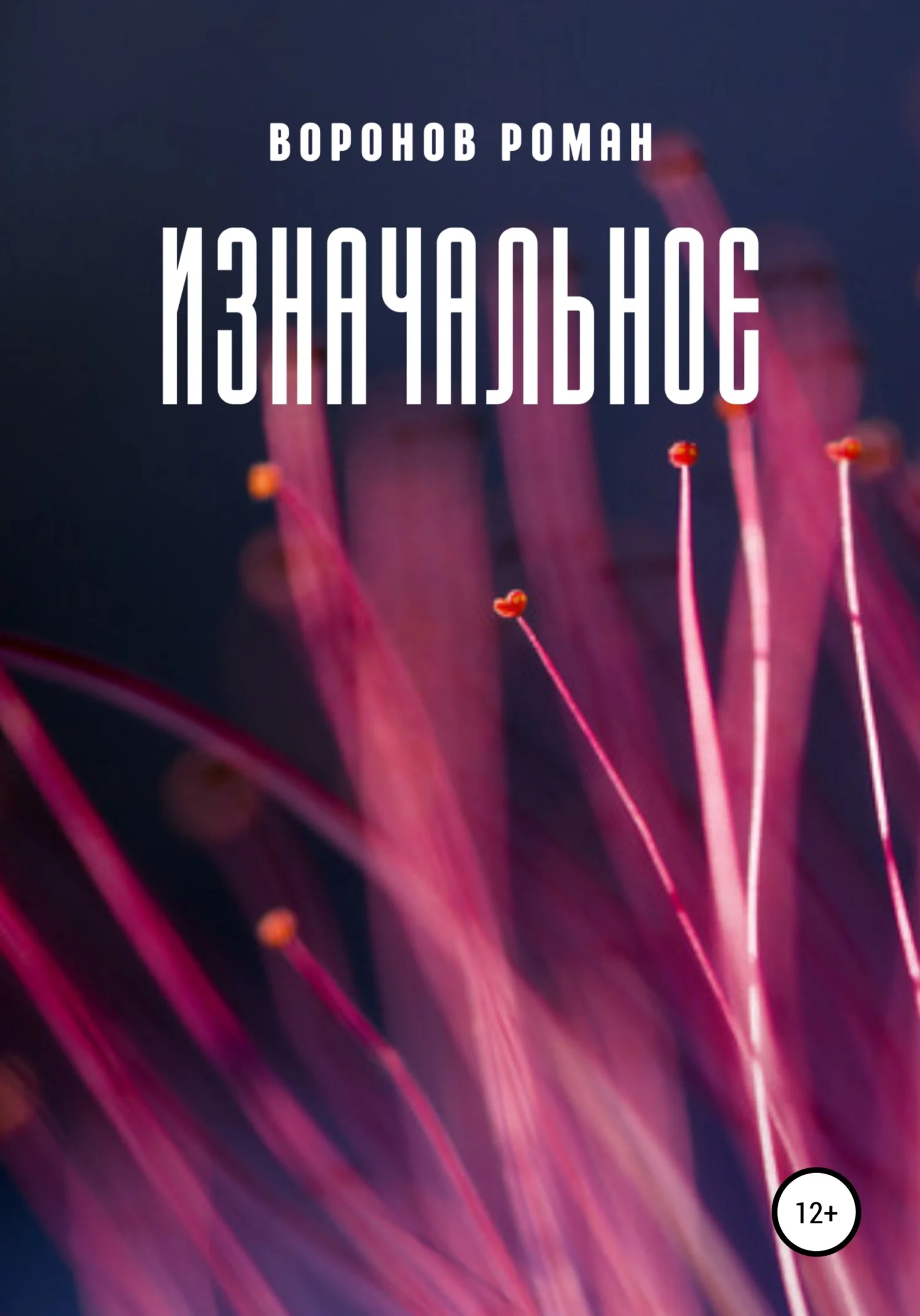 Обложка Изначальное