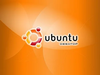 Обложка Ubuntu Linux: базовый курс