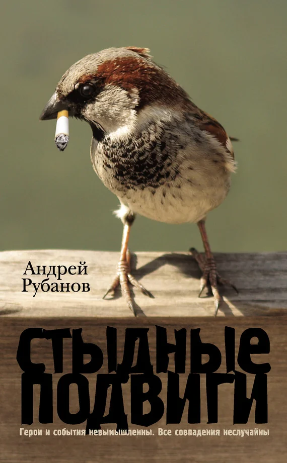 Обложка Стыдные подвиги