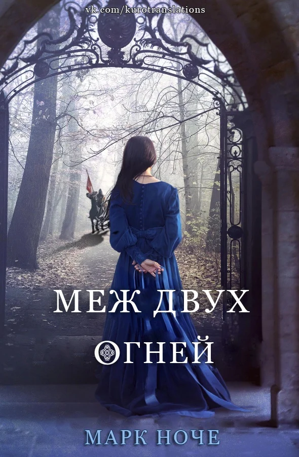 Обложка Меж двух огней