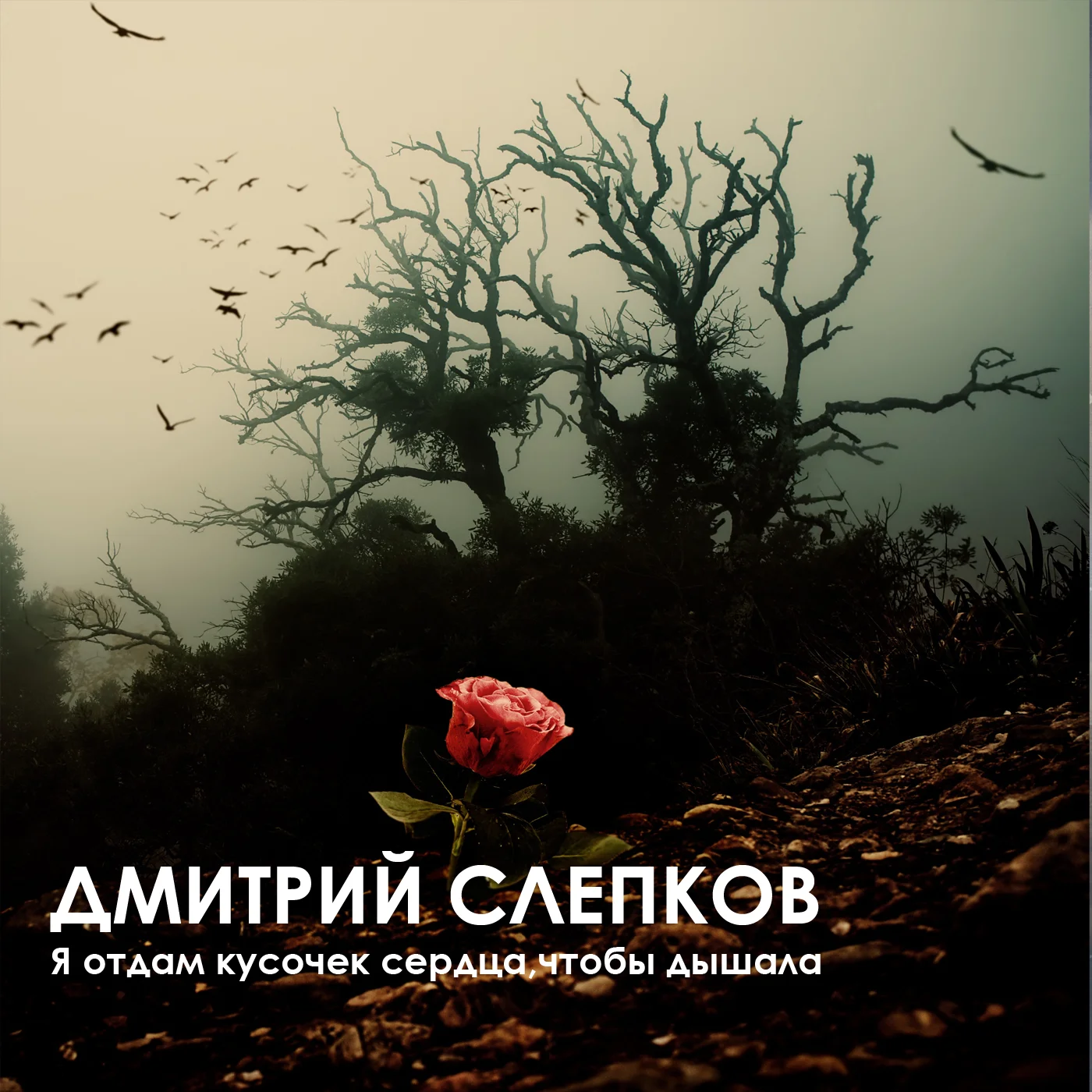 Обложка Я отдам кусочек сердца,чтобы ты дышала…