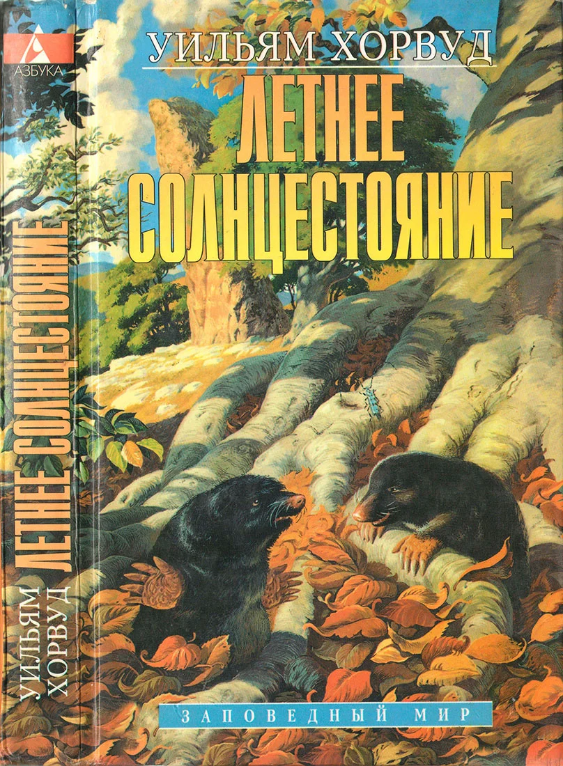 Обложка Летнее Солнцестояние