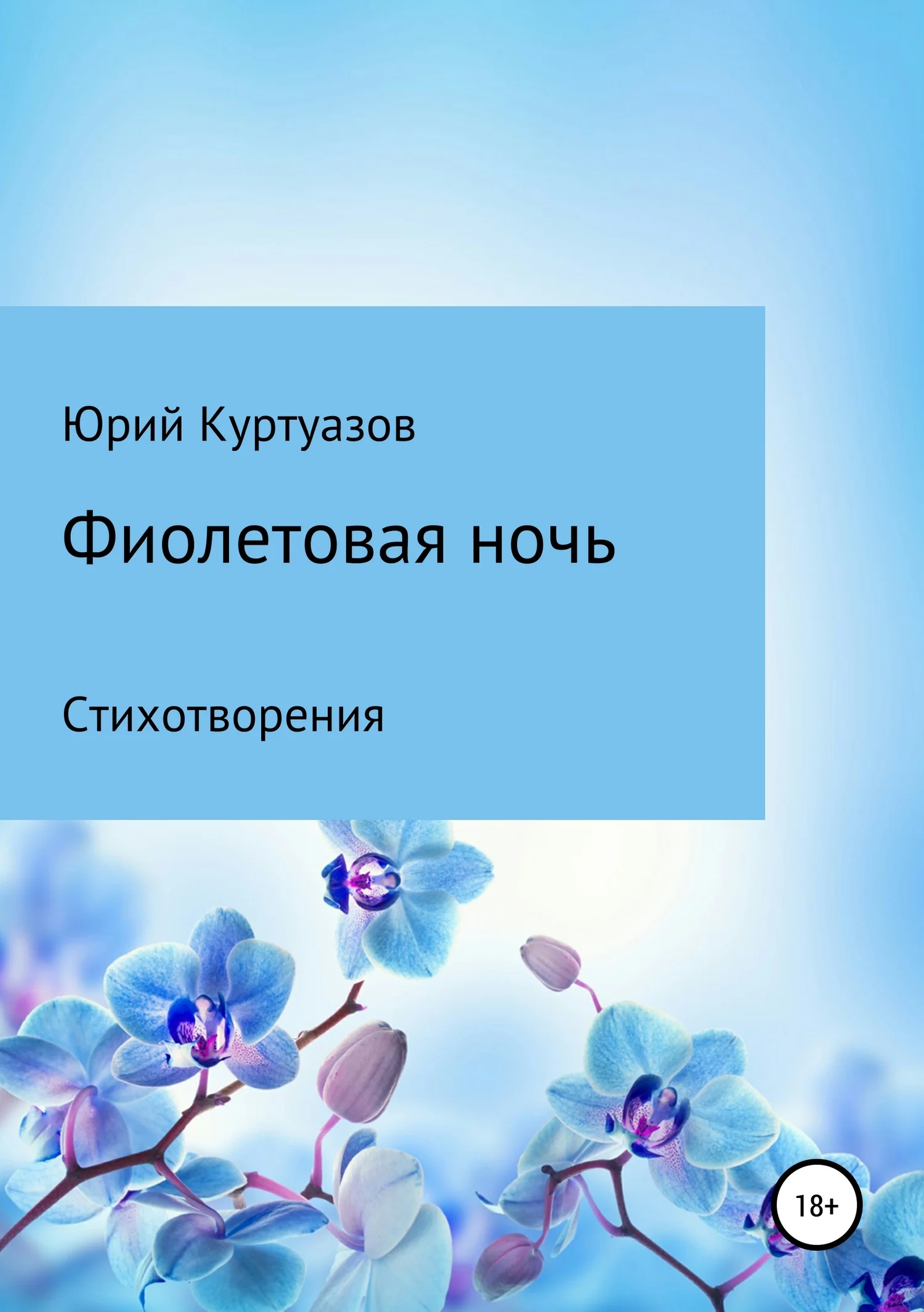 Обложка Фиолетовая ночь