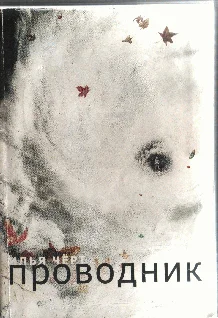 Обложка Проводник