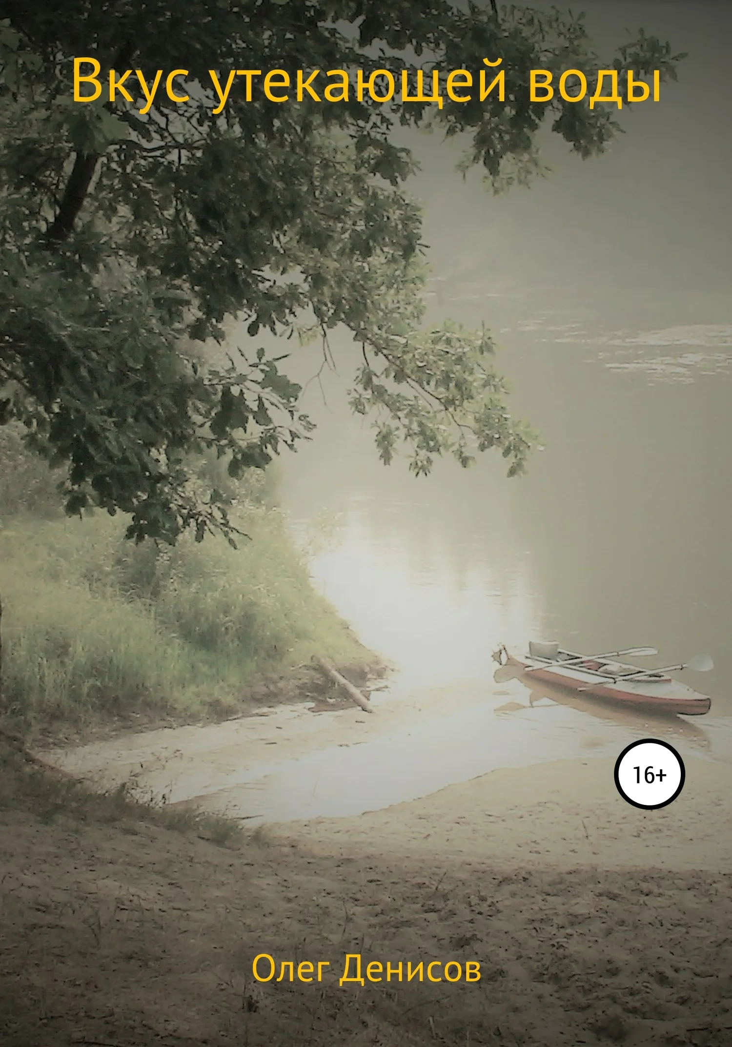 Обложка Вкус утекающей воды