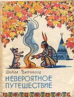 Обложка Невероятное путешествие