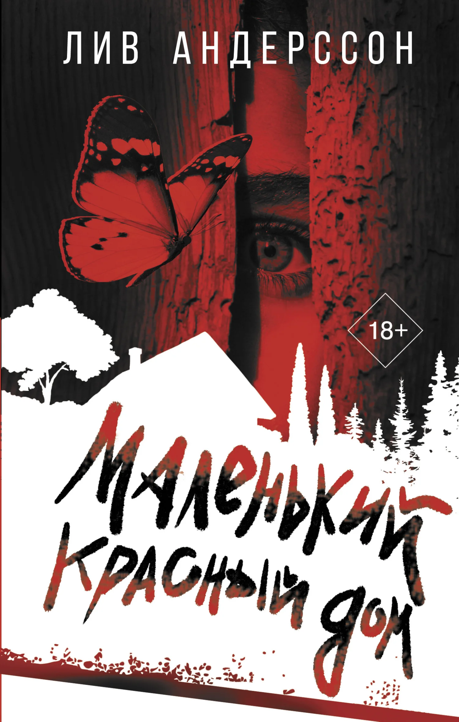 Обложка Маленький красный дом