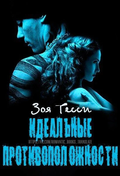 Обложка Идеальные противоположности