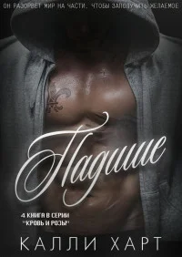 Обложка Падшие