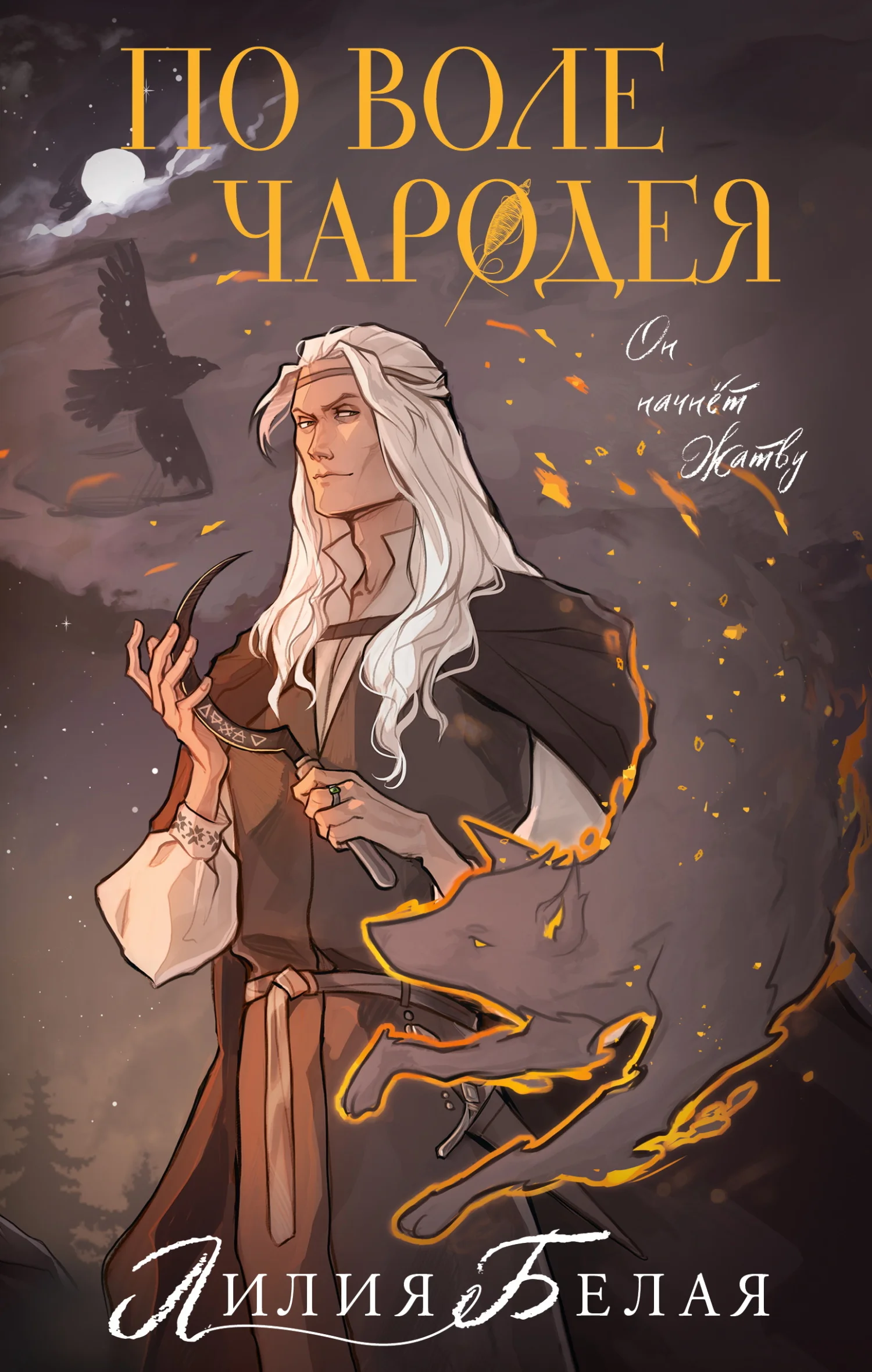 Обложка По воле чародея