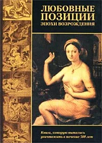 Обложка Любовные позиции эпохи Возрождения
