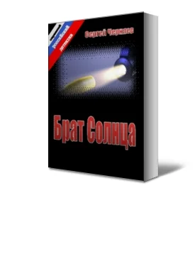 Обложка Брат Солнца