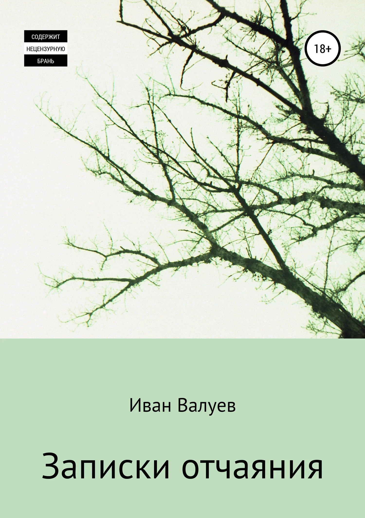 Обложка Записки отчаяния