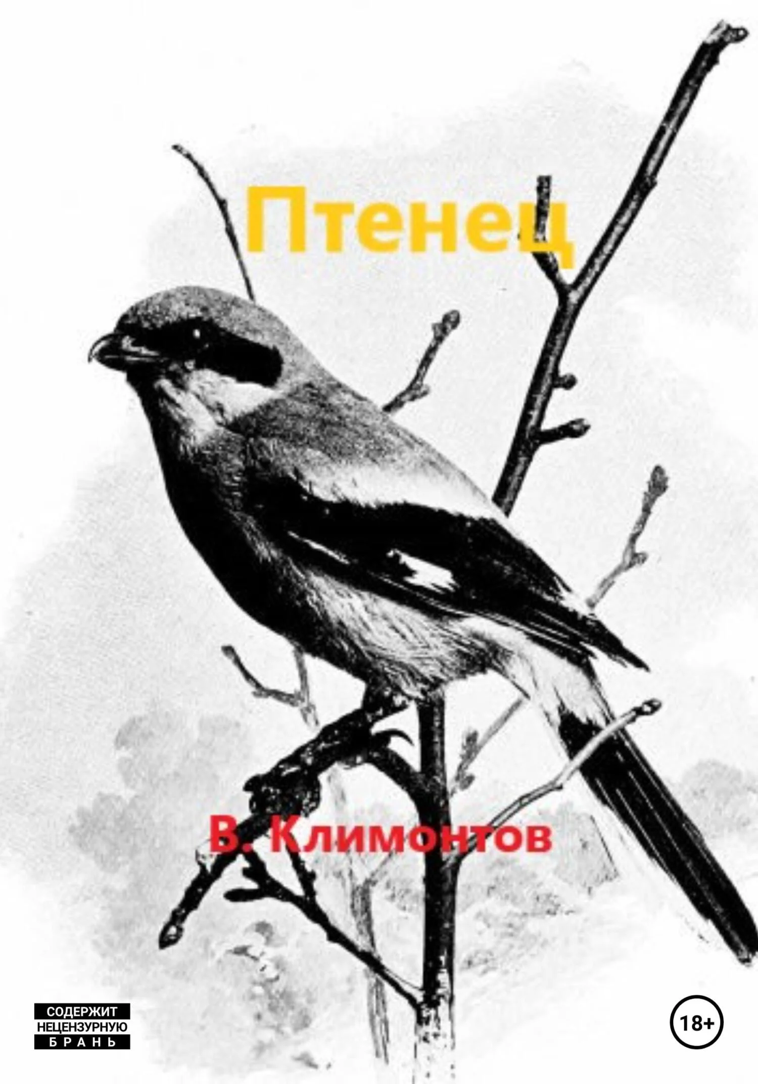 Обложка Птенец