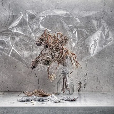 Обложка Муха, и какое воздействие оказала она на мистера Бодли