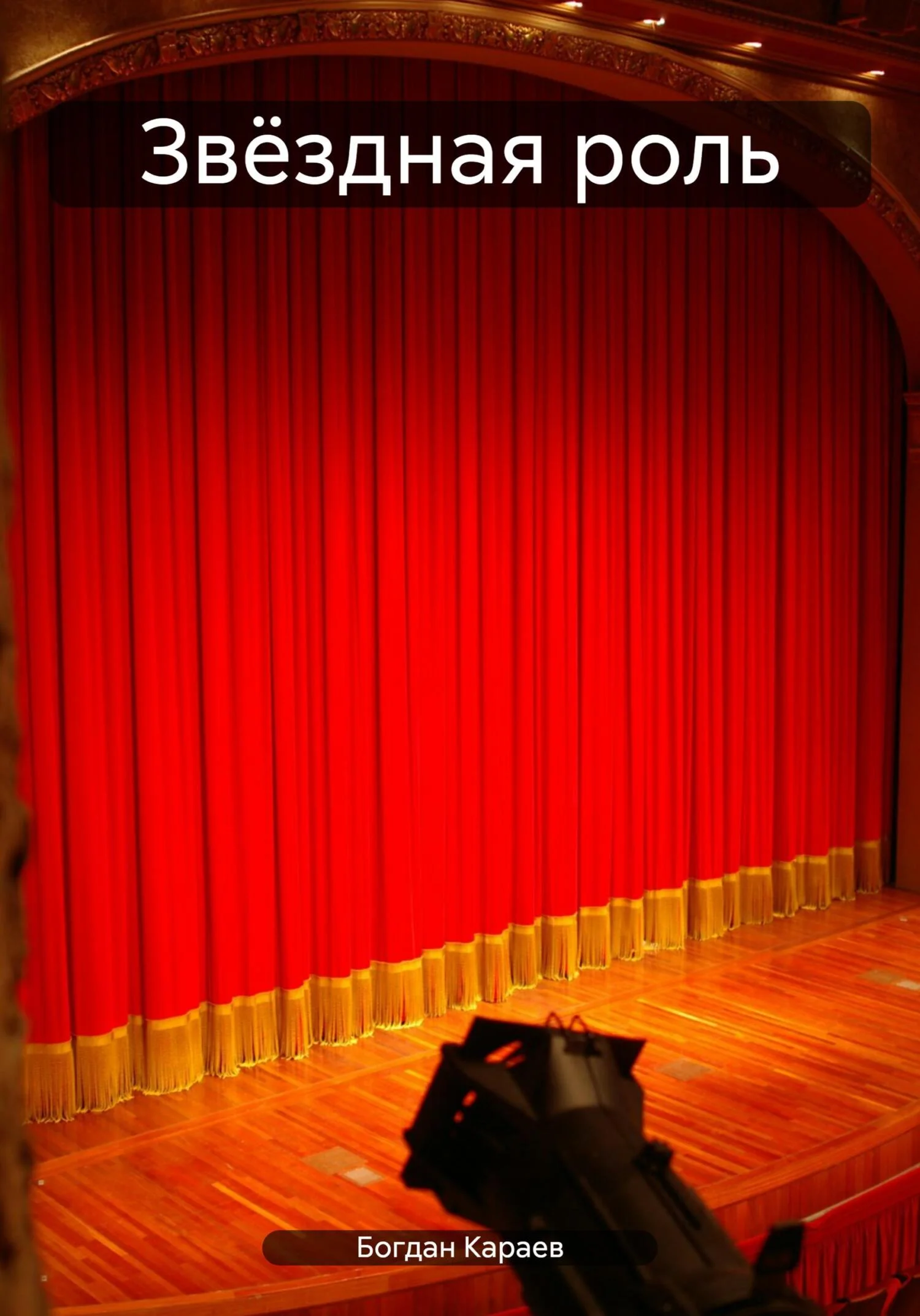 Обложка Звёздная роль